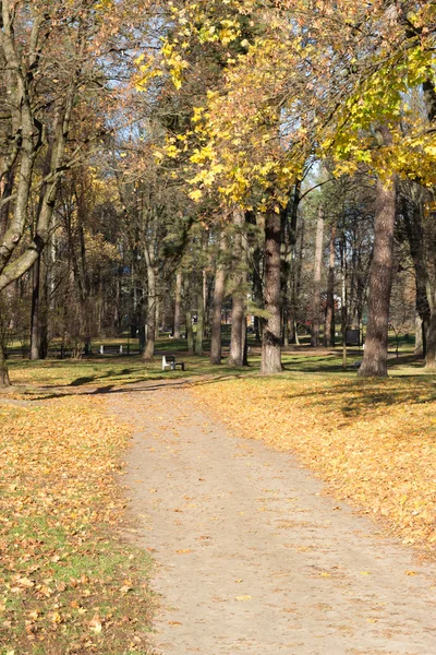 Escena de otoño en un parque de la ciudad — Foto de Stock