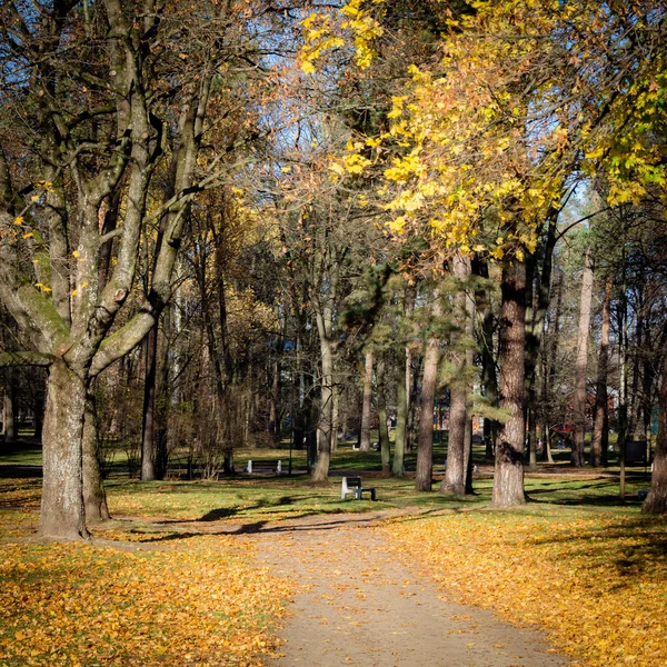 Escena de otoño en un parque de la ciudad —  Fotos de Stock