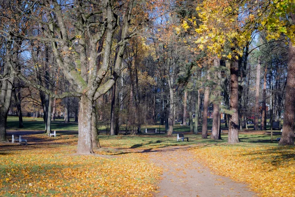 Escena de otoño en un parque de la ciudad — Foto de Stock