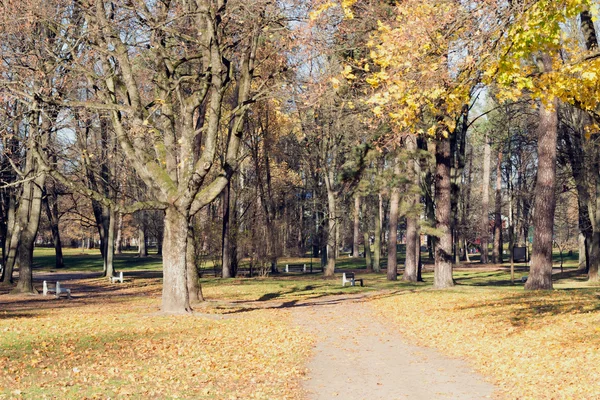 Escena de otoño en un parque de la ciudad — Foto de Stock