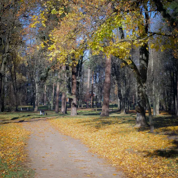 Escena de otoño en un parque de la ciudad — Foto de Stock