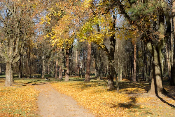 Sonbahar sahne bir Şehir Parkı — Stok fotoğraf