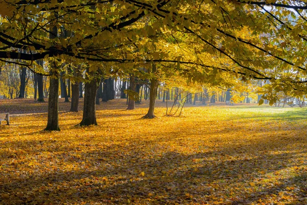 Scène d'automne dans un parc municipal — Photo