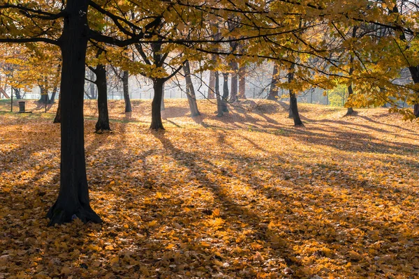 Herbstszene im Stadtpark — Stockfoto