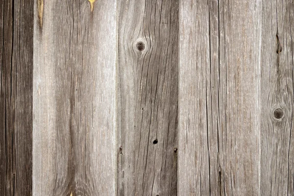 La texture du bois avec des motifs naturels — Photo