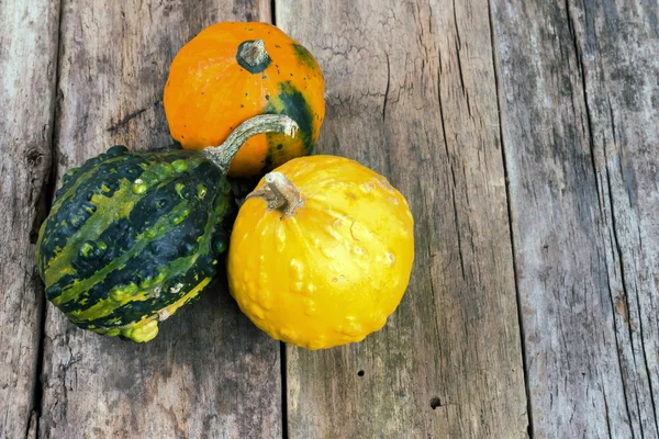 Citrouilles sur une table en bois, revers — Photo