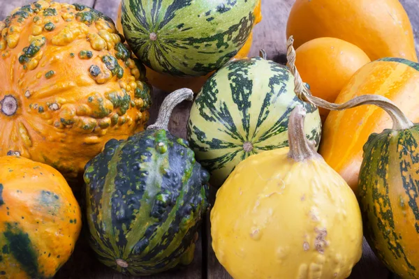 Calabazas sobre una mesa de madera, fondos —  Fotos de Stock