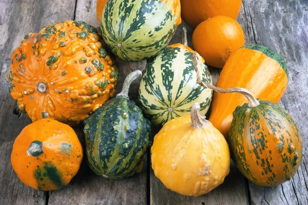 Calabazas sobre una mesa de madera, fondos —  Fotos de Stock