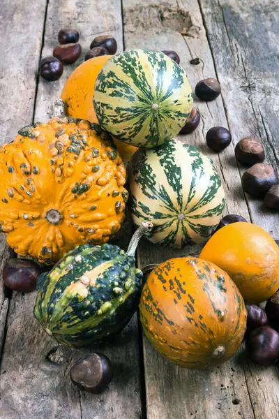 Calabazas sobre una mesa de madera, fondos —  Fotos de Stock