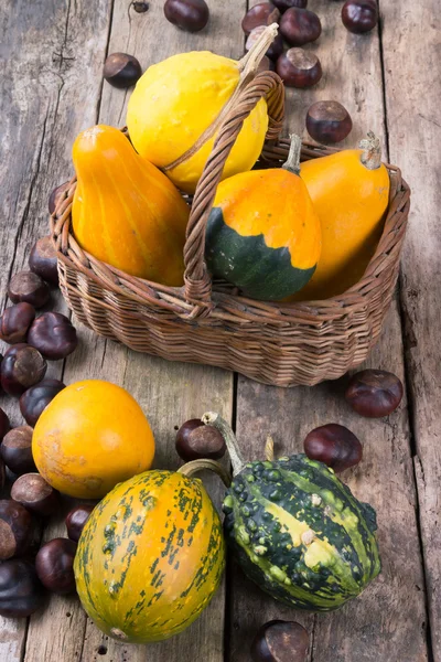 Pompoenen op een houten tafel en mand — Stockfoto