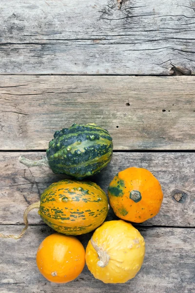 Calabazas sobre una mesa de madera, fondos —  Fotos de Stock