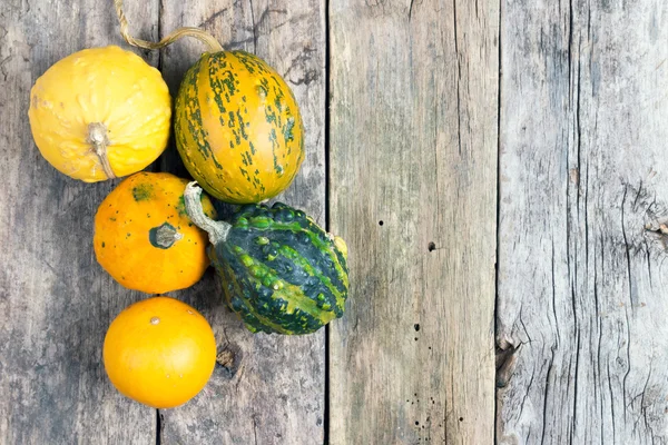 Calabazas sobre una mesa de madera, fondos —  Fotos de Stock