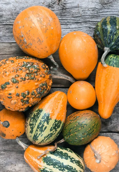 Calabazas sobre una mesa de madera, fondos —  Fotos de Stock