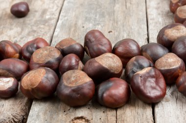 ahşap masa portre kestane