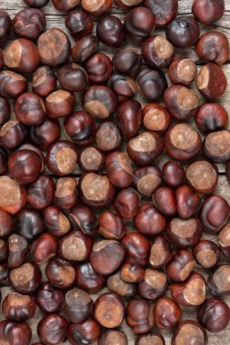 ahşap masa portre kestane