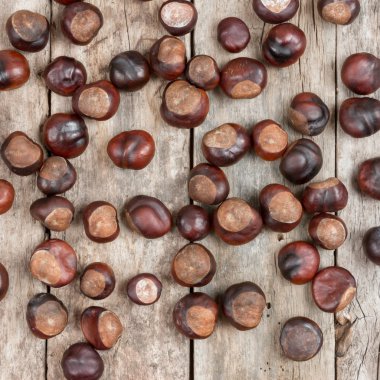 ahşap masa portre kestane