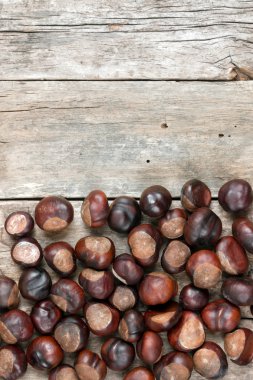 ahşap masa portre kestane