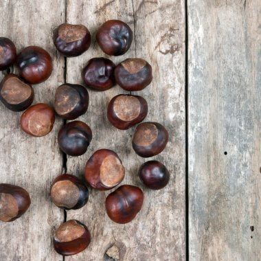 ahşap masa portre kestane