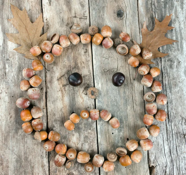 Sad face of acorns on a wooden background