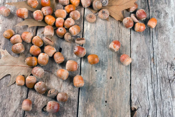 Autunno foglie di quercia e ghiande sullo sfondo astratto — Foto Stock