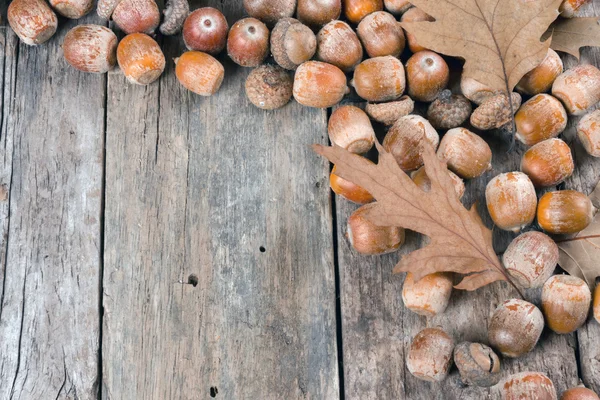Осенние дубовые листья и желуди на абстрактном фоне — стоковое фото