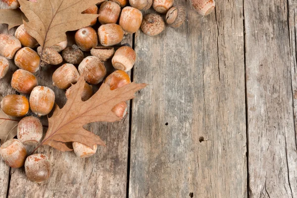 Herbst Eichenblätter und Eicheln auf dem abstrakten Hintergrund — Stockfoto