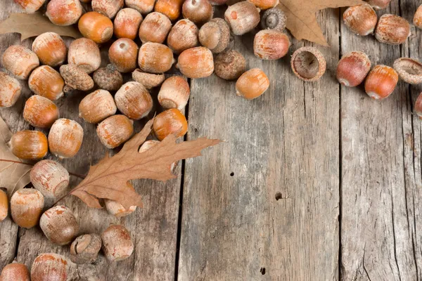 Autunno foglie di quercia e ghiande sullo sfondo astratto — Foto Stock