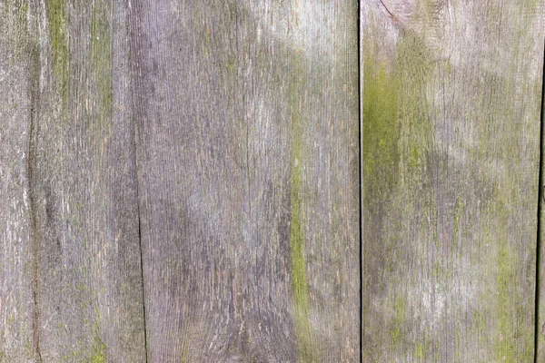 バック グラウンドの使用のための木製の壁テクスチャ — ストック写真