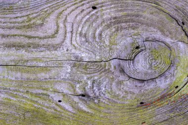 Doğal desenli ahşap doku.