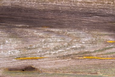 Doğal desenli ahşap doku.