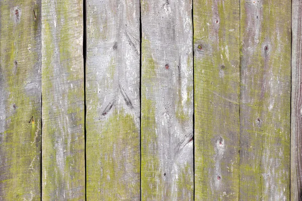 La textura de madera con patrones naturales —  Fotos de Stock
