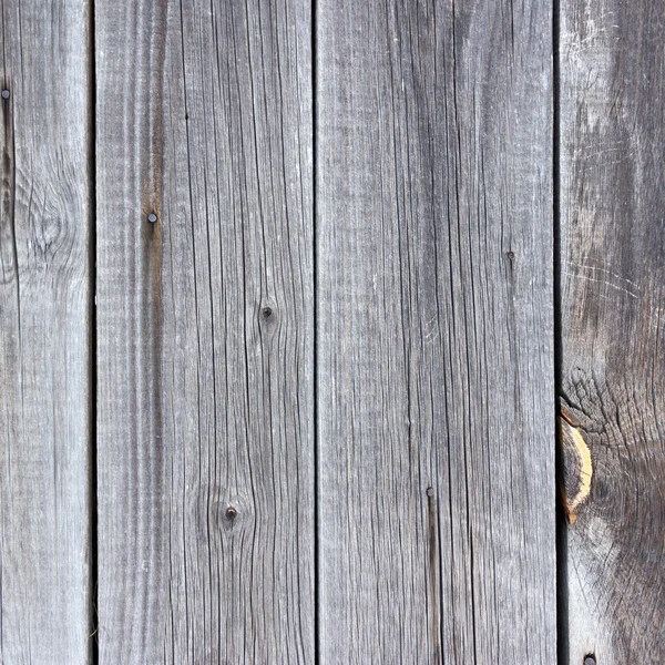 The wood texture with natural patterns — Stock Photo, Image