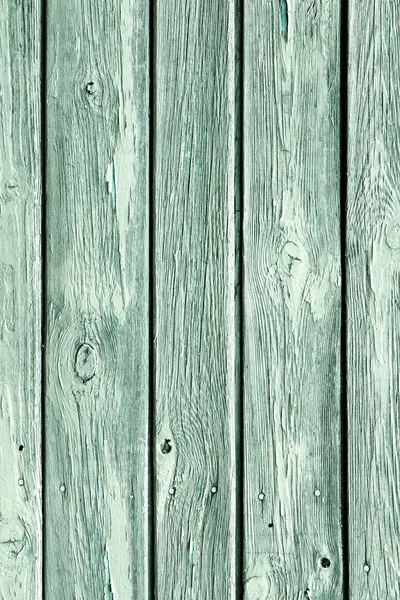 La texture du bois avec des motifs naturels — Photo