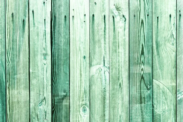 Vihreä puu rakenne luonnon kuvioita — kuvapankkivalokuva