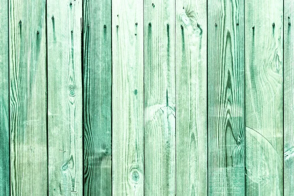 Зеленая текстура дерева с натуральными узорами — стоковое фото