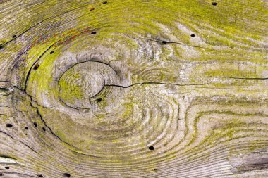 Doğal desenli ahşap doku.