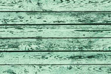 Yeşil Ahşap doku doğal desenleri ile