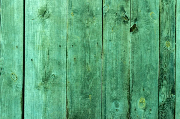 La texture du bois vert avec des motifs naturels — Photo