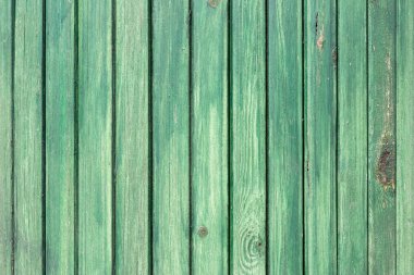 Yeşil Ahşap doku doğal desenleri ile