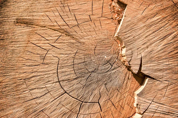 与自然背景下的木材纹理 — 图库照片