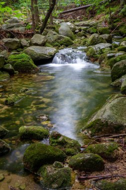 Dağ dere taşları ile olan temiz su.