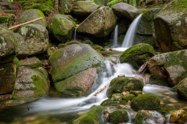 Dağ dere taşları ile olan temiz su.