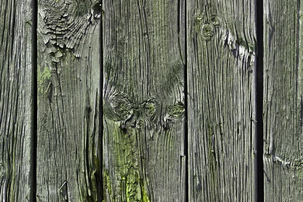 Oude Houttextuur Met Natuurlijke Patronen — Stockfoto