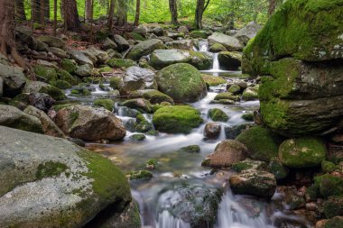 Dağ dere taşları ile olan temiz su.