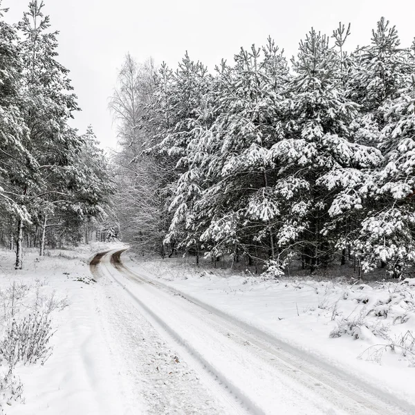 Ormandaki Beyaz Kış Manzarasında Yol — Stok fotoğraf