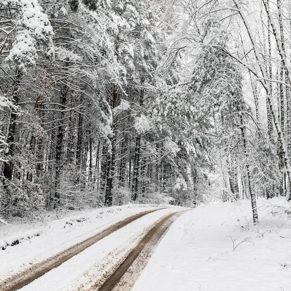 Estrada Paisagem Inverno Branco Floresta — Fotografia de Stock