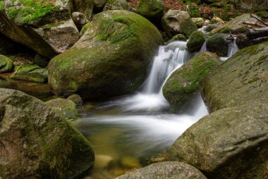 Dağ dere taşları ile olan temiz su.