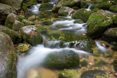 Dağ dere taşları ile olan temiz su.