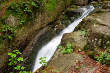 Dağ dere taşları ile olan temiz su.