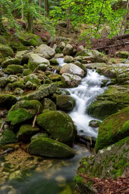 Dağ dere taşları ile olan temiz su.